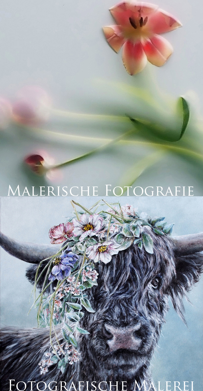 FOTOGRAFISCHE MALEREI_2025_ruecks